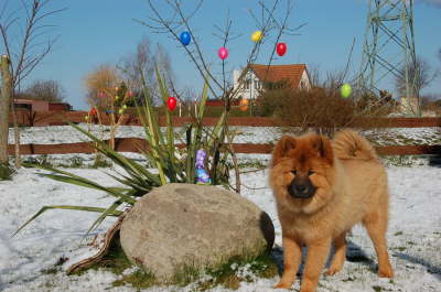 Frohe Ostern 2008